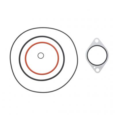 Water Pump Assembly 381801 / 3520203