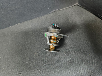 PAI KIT, THERMOSTAT 181844