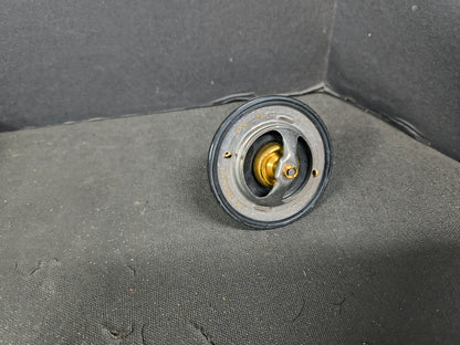 PAI KIT, THERMOSTAT 181884