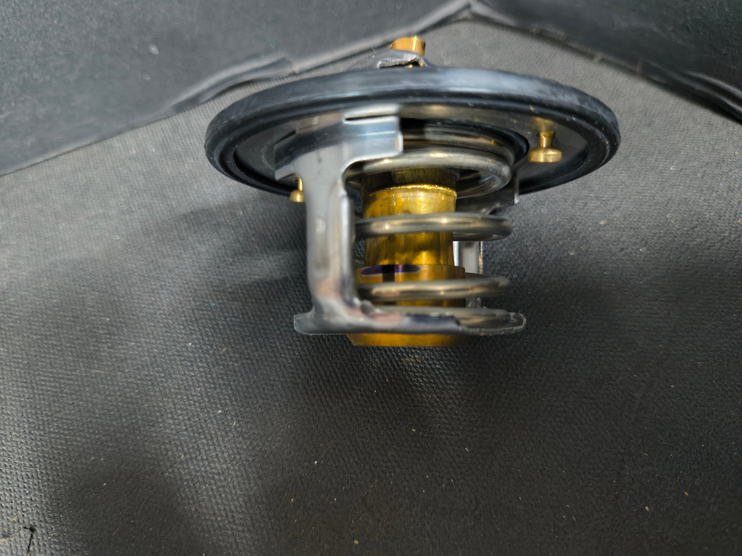 PAI KIT, THERMOSTAT 181884