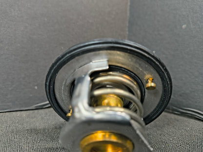 PAI KIT, THERMOSTAT 181884