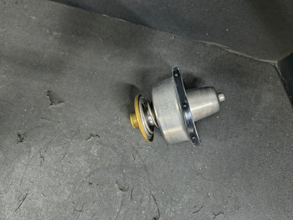 PAI KIT, THERMOSTAT 481834
