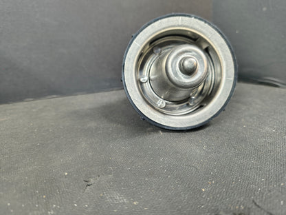 PAI KIT, THERMOSTAT 481834