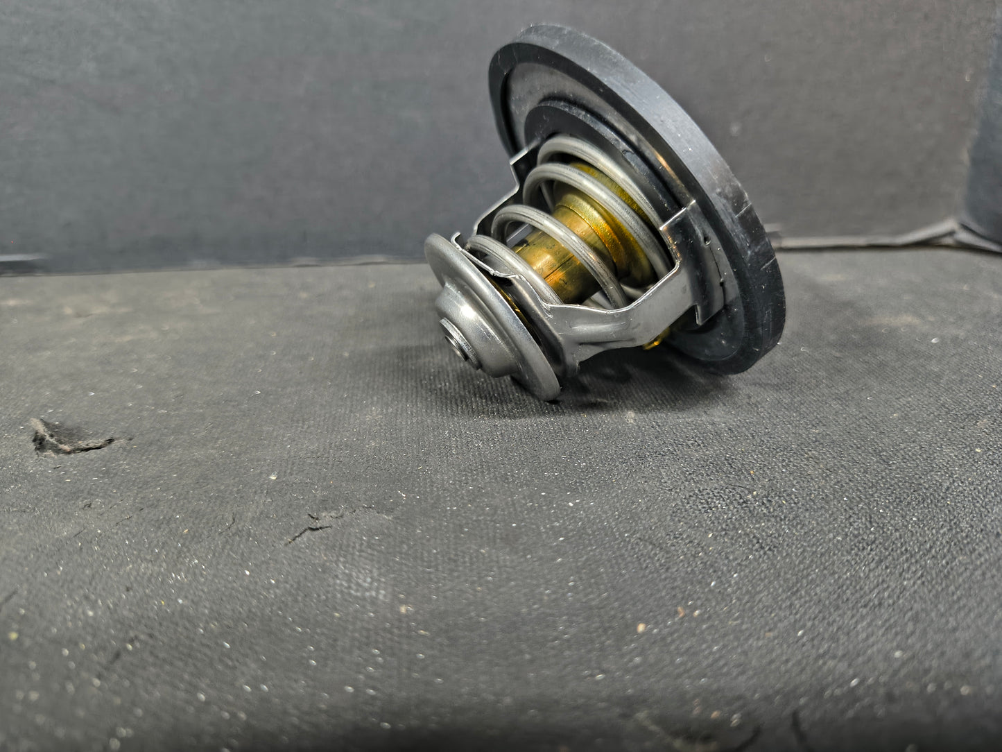 PAI THERMOSTAT 481828
