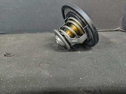 PAI THERMOSTAT 481828