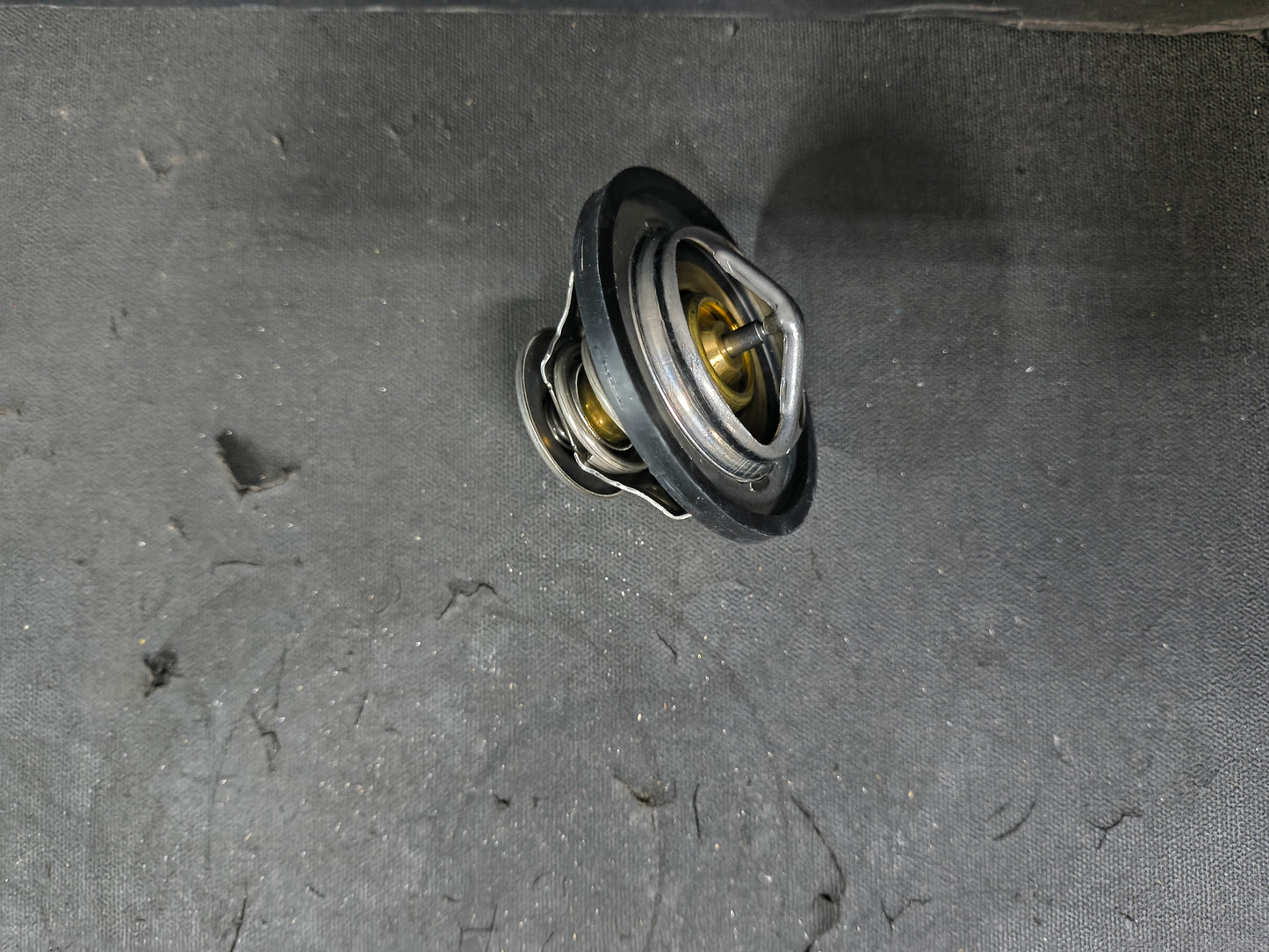 PAI THERMOSTAT 481828
