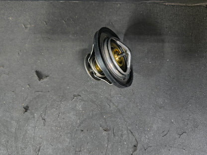 PAI THERMOSTAT 481828
