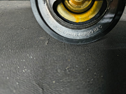 PAI THERMOSTAT 481828