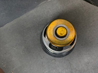 PAI THERMOSTAT 381863