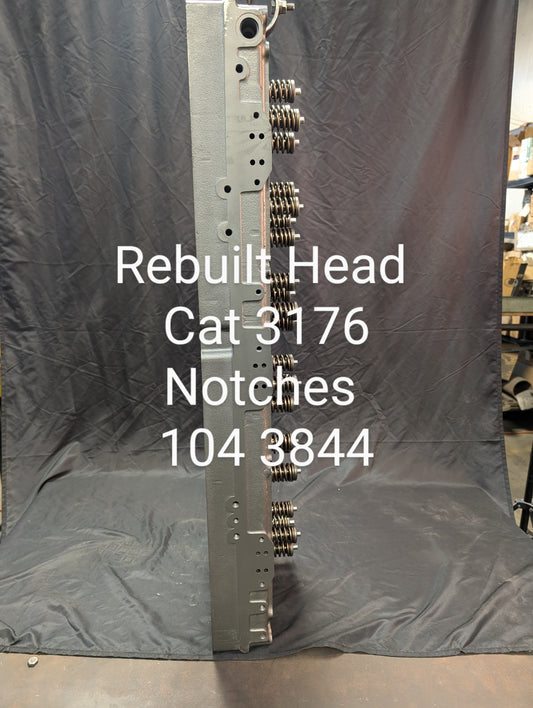 Caterpillar – Young and Sons