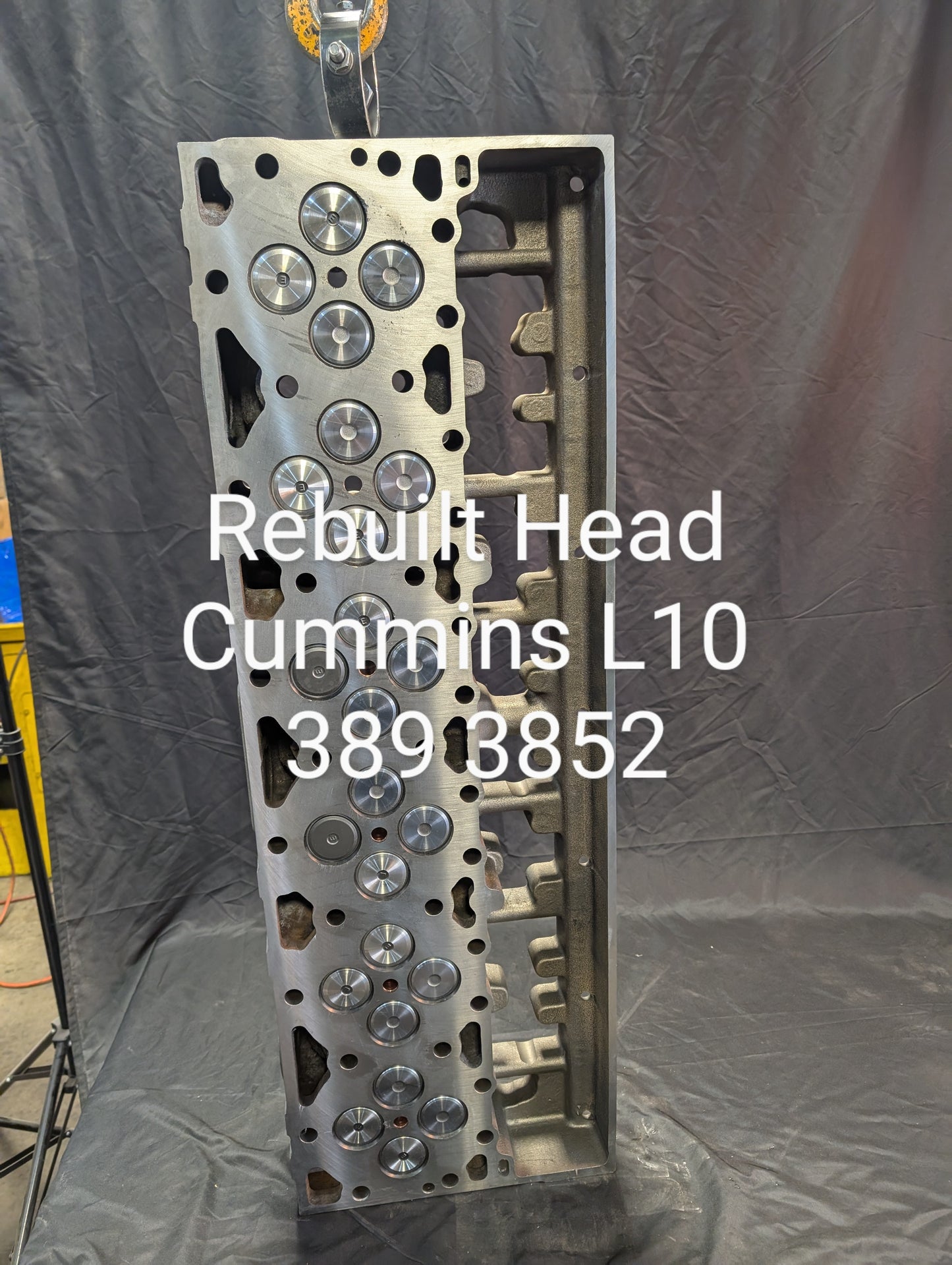 3893852 L10 Short Valve Cylinder Head