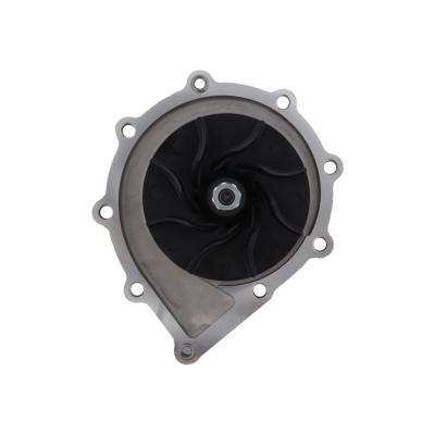 Water Pump 481821 / 3007644C94